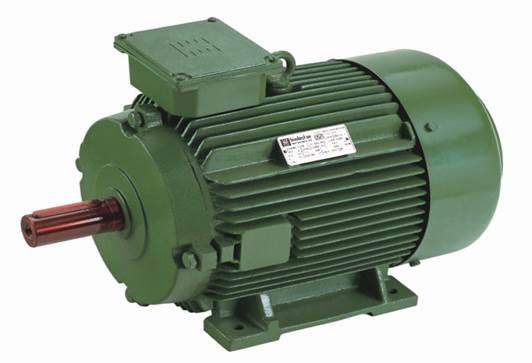 IE5 Induction Technology motor