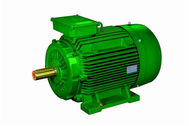 Induction motor