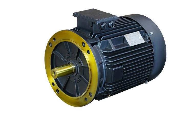 IE3 Premium Efficiency Standard motor