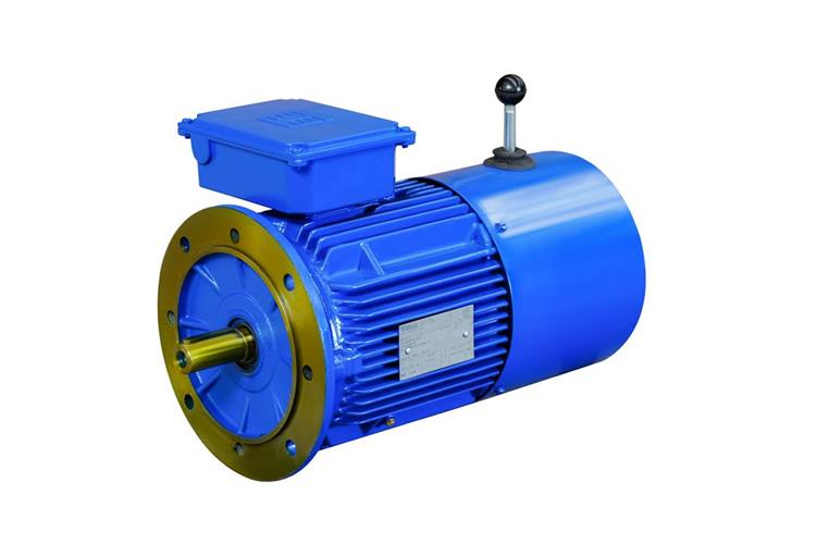 General industrial motor