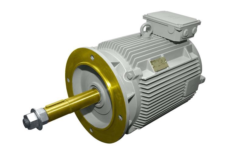 Alternator / motor unit