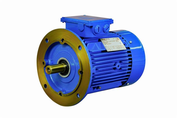 Vertical motors