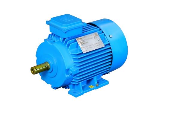 Flameproof motor